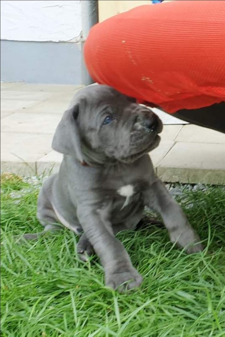 Auf Gartenentdeckungstour