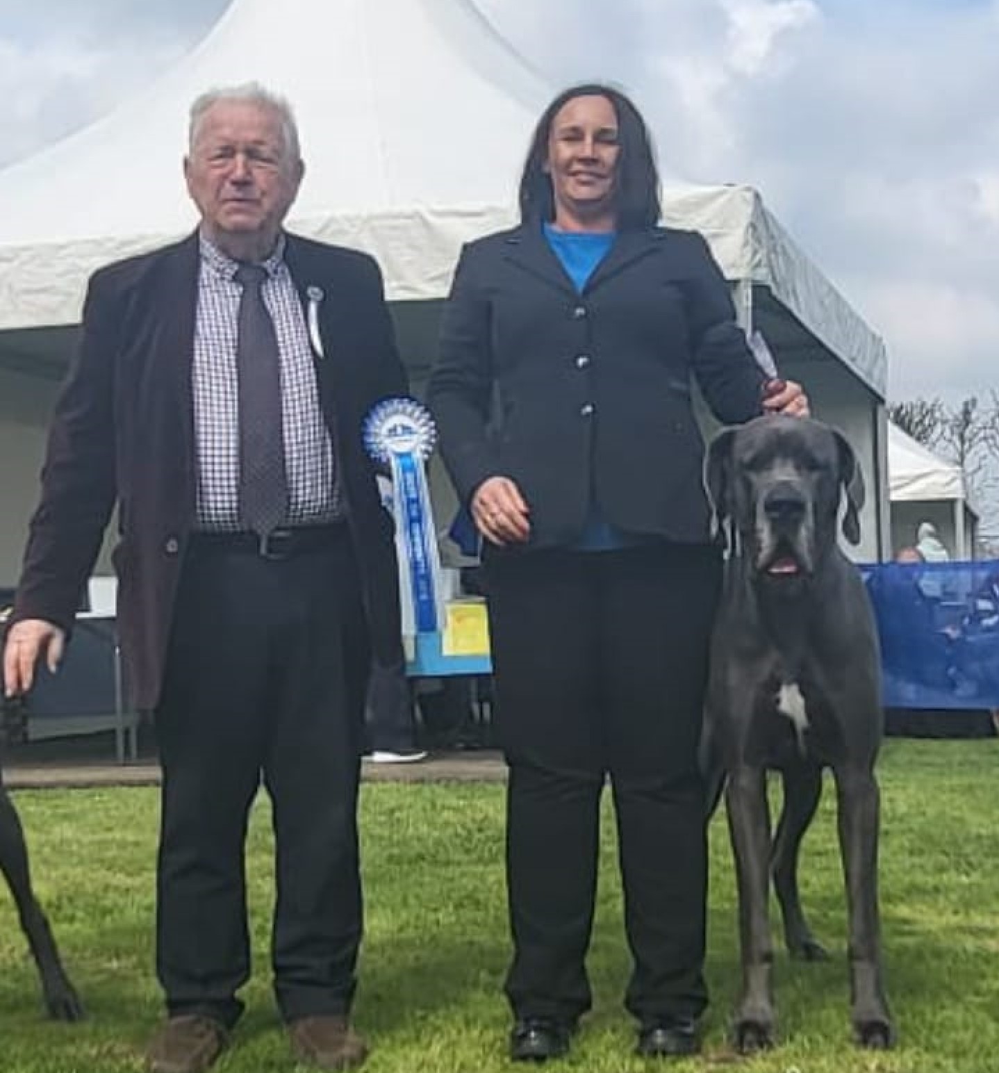 Screenshot 2023-04-29 154941