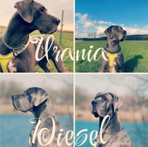 photo_2024-02-25_09-08-29