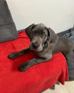 photo_2024-02-25_09-32-22 (2)