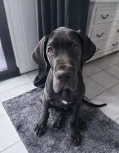 photo_2024-02-25_09-32-22 (3)