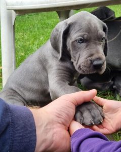 photo_2024-02-25_09-32-22