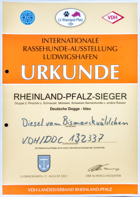 Fertig_Rheinland-Pfalz-Sieger DSC04877