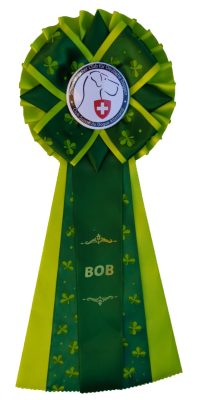 photo_2023-09-30_11-28-32