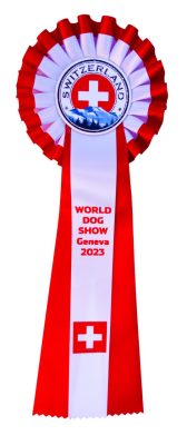 photo_2023-09-30_11-28-37